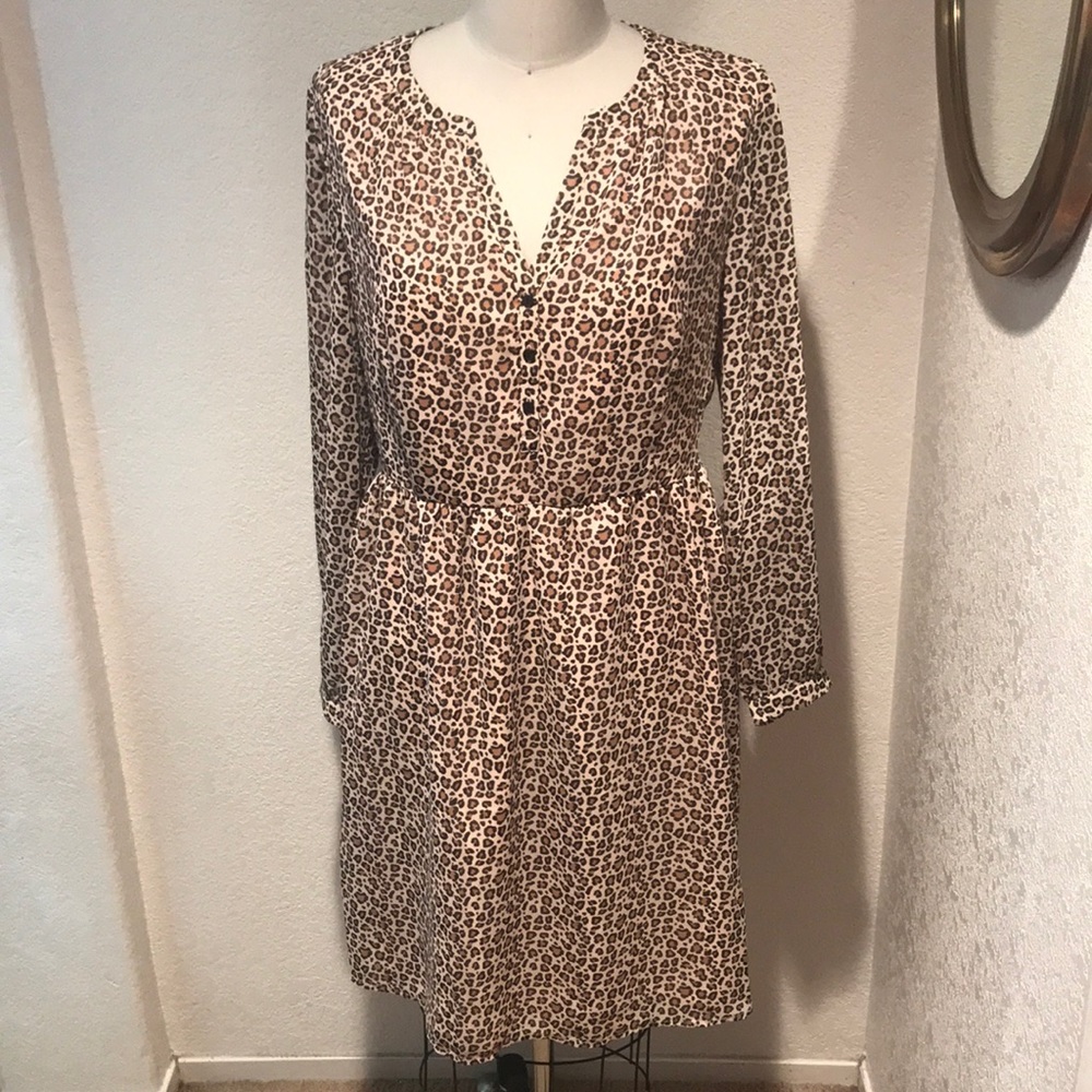 Target Long Sleeve Leopard Print Dress